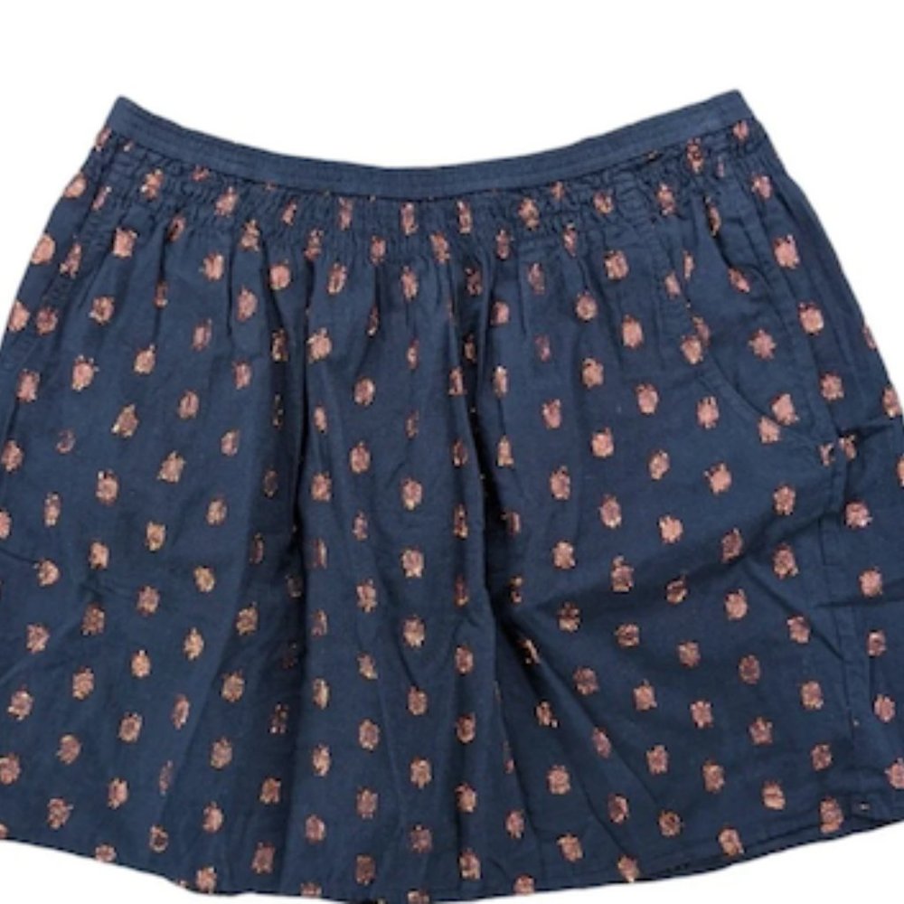 NWT J Crew Skirt
